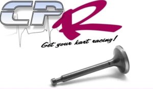 Valve INLET Stock Clone Suit Honda Clone GX200 ENCL65